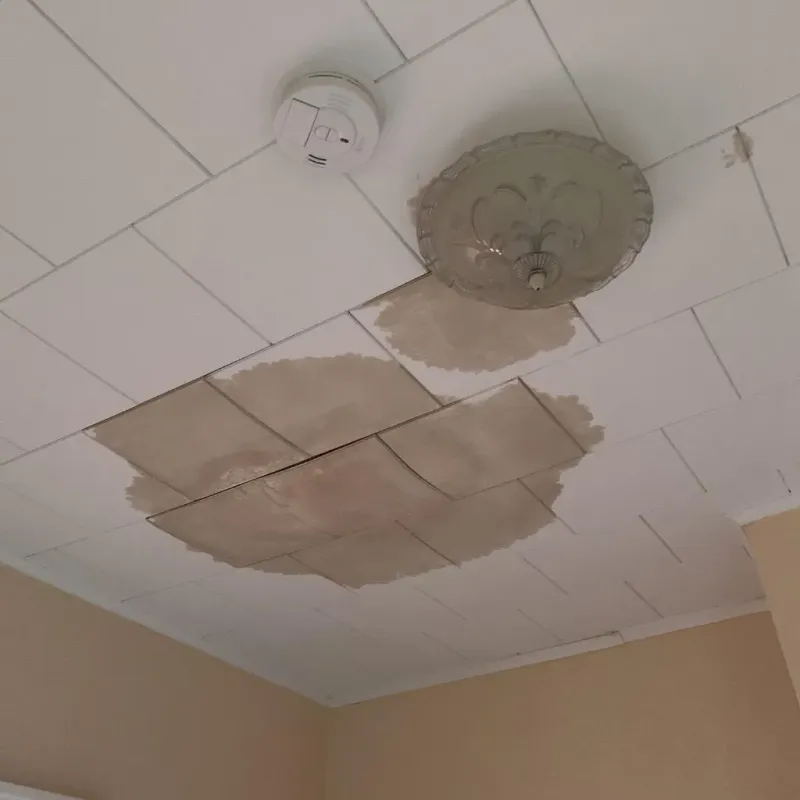 Ceiling Water Damage Repair in Rogers County, OK