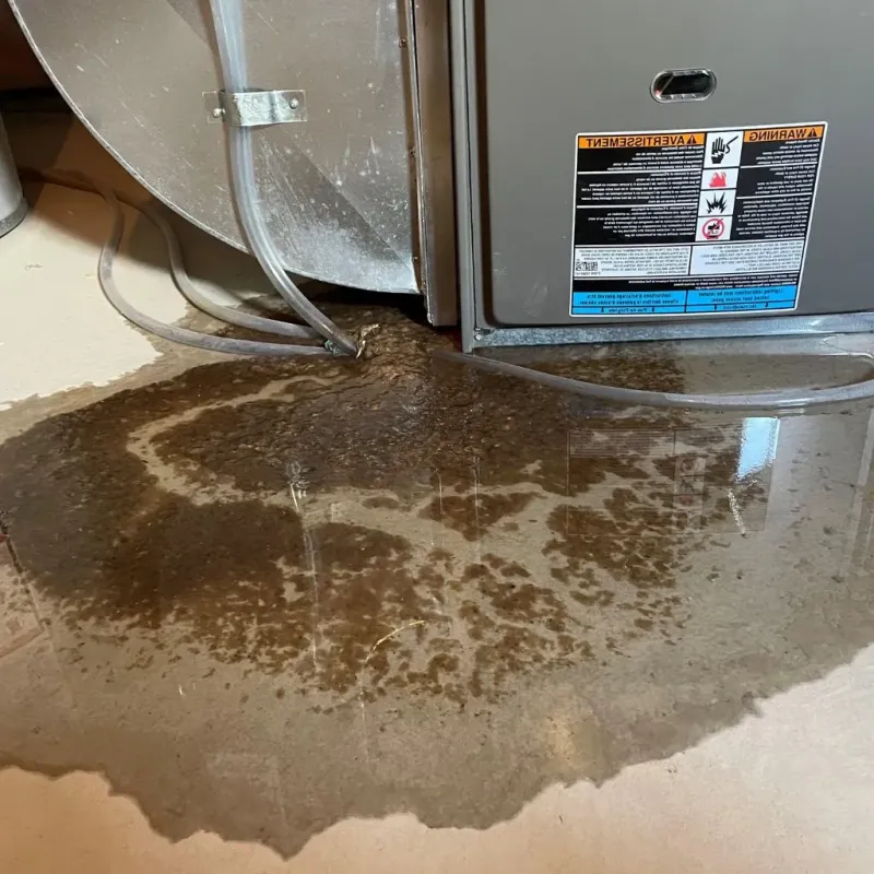 Pipe Burst and Leak Restoration in Rogers County, OK